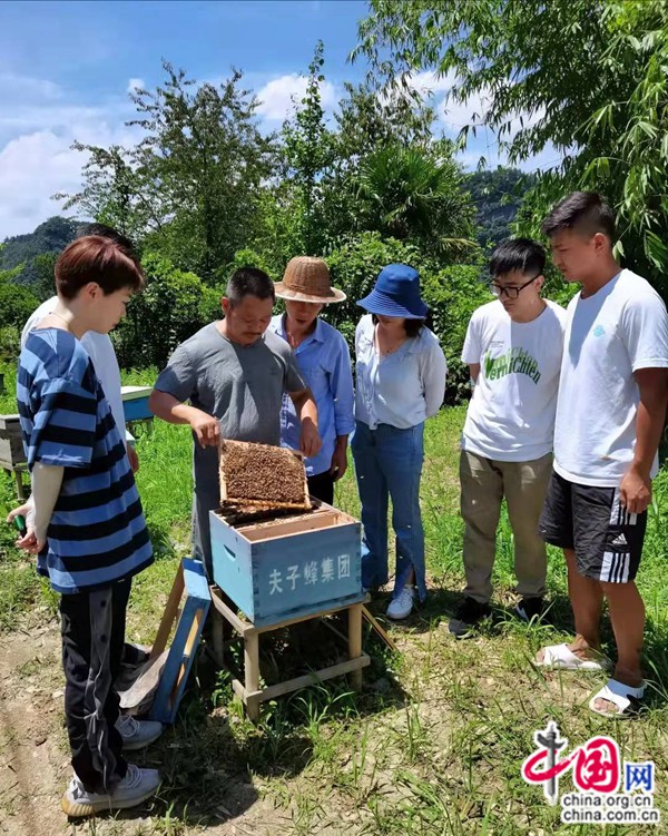 格子箱养殖中蜂技术_养蜂格子箱制作_中蜂养殖格子箱的做法