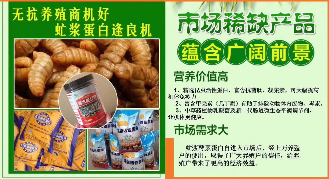 食用水虻的养殖技术_罴水虻养殖技术视频_虻虫人工养殖