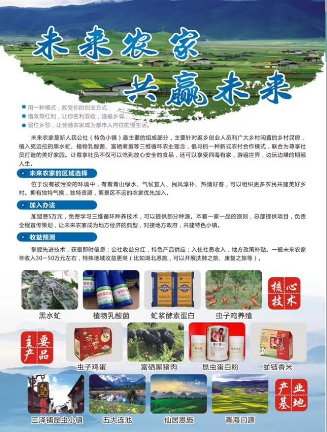 罴水虻养殖技术视频_食用水虻的养殖技术_虻虫人工养殖