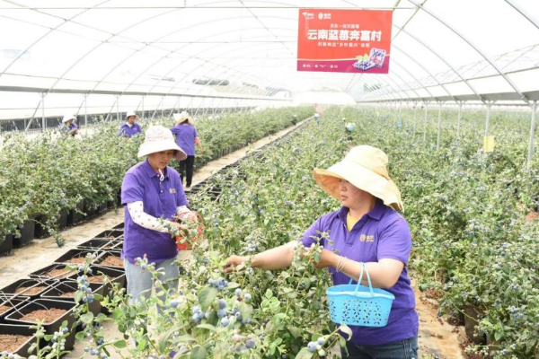 种植致富经视频_致富种植视频全集_女子种植致富