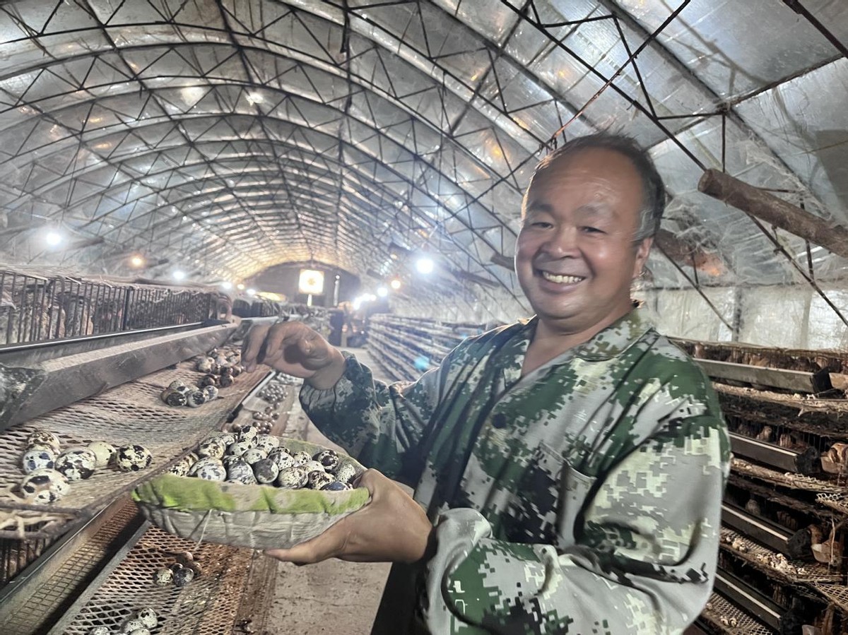 致富养殖做蛋鸡赚钱吗_致富经做蛋鸡养殖_致富养殖做蛋鸡好吗