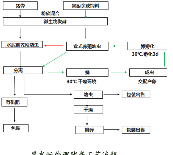 虻虫人工养殖_食用水虻的养殖技术_水虻养殖视频