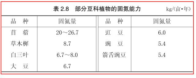 酸浆种植技术详解_酸浆果种植技术_酸浆植物