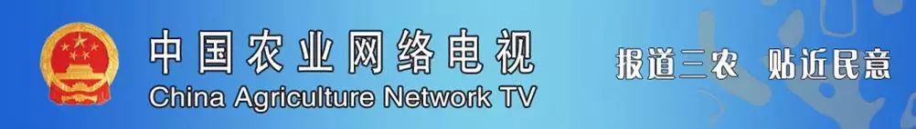 剪养殖鹅毛技术视频_剪养殖鹅毛技术怎么样_鹅毛怎样剪养殖技术