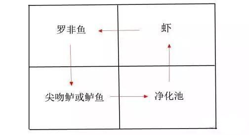 传统渔业的养殖技术改革，生态、环保、高效的新型模式受大力追捧