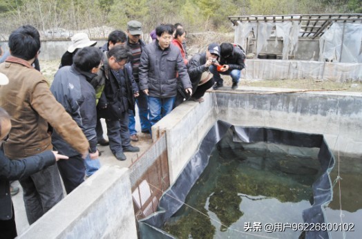 农民致富养殖业_农村养殖业致富项目优惠政策_农民养殖致富风险