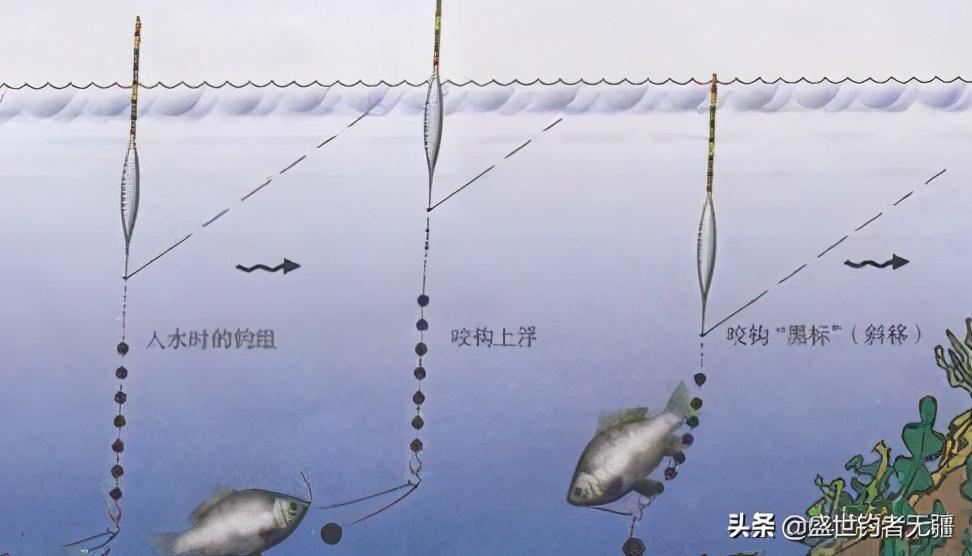 视频养殖草鱼技术教程_视频养殖草鱼技术视频教程_养殖草鱼的技术视频