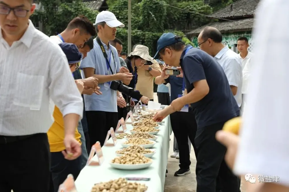 致富经 花生_花生种植赚钱吗_致富经花生种植视频