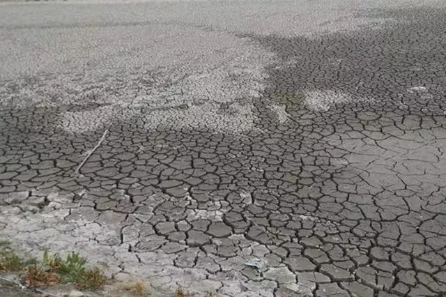 致富经 养锦鲤鱼_锦鲤致富经_2020年养殖锦鲤鱼能赚钱吗