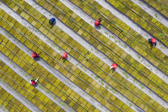 致富经生产加工_致富加工生产厂家地址_2020致富加工新项目