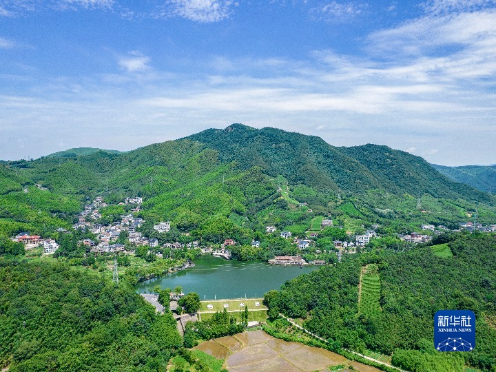 地里种植致富项目_农村致富项目种植_致富种植项目里地址是什么