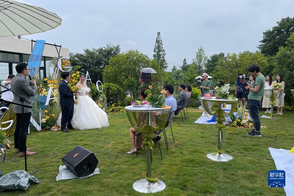 农村致富项目种植_致富种植项目里地址是什么_地里种植致富项目