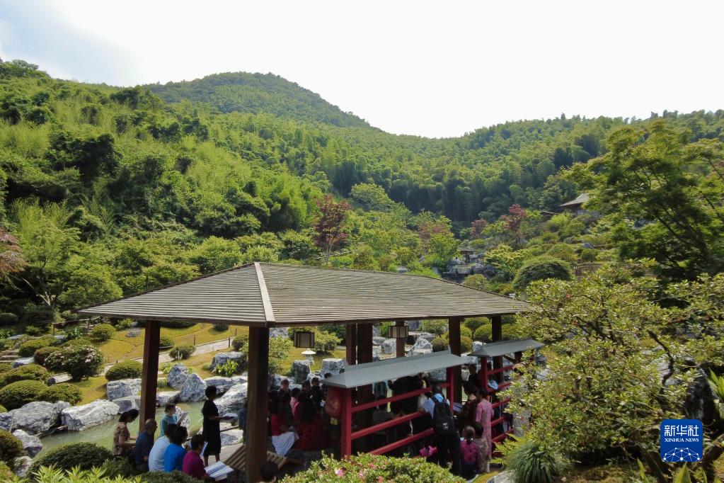 致富种植项目里地址是什么_农村致富项目种植_地里种植致富项目