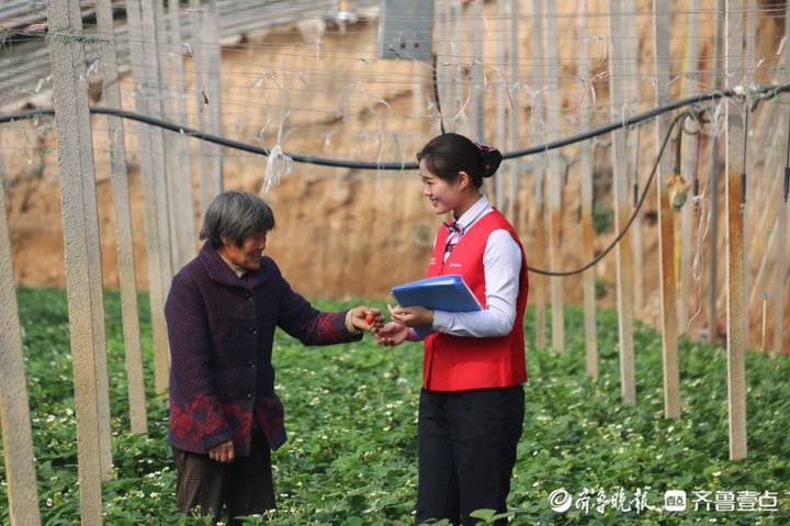 有机蛋鸡养殖技术_蛋鸡养鸡设备_蛋鸡养殖场设备