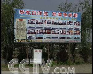 致富养殖野鸭赚钱吗_养殖野鸭需要什么手续_致富经野鸭养殖