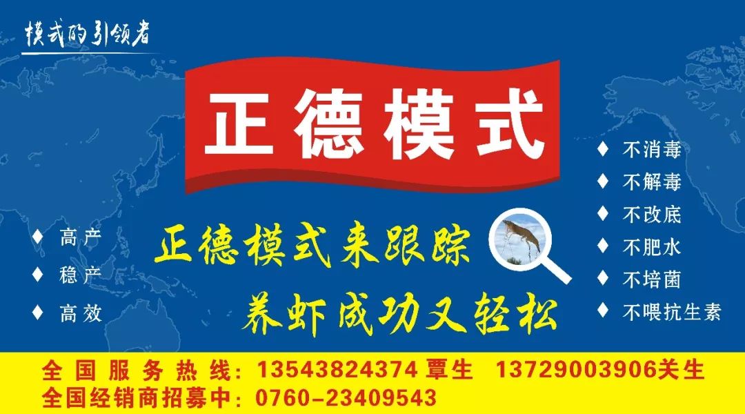 2020年养殖锦鲤鱼能赚钱吗_致富经养鲤鱼_致富经 养锦鲤鱼