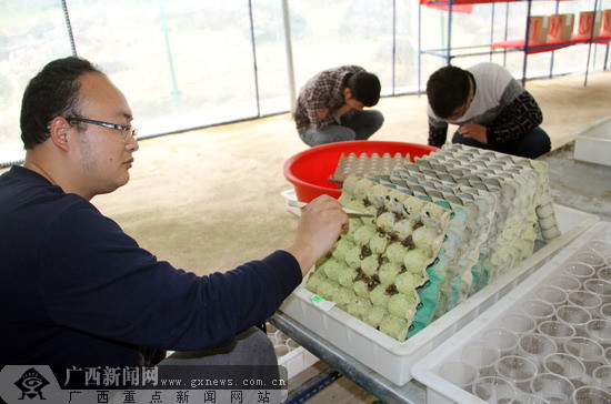 山区养殖什么致富_农村致富养殖_山区搞养殖