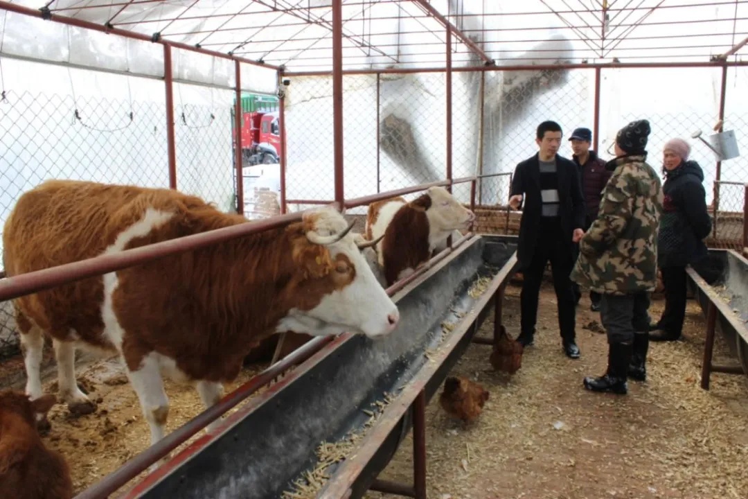 山区养殖什么致富_山区养殖业什么最赚钱农村_农村致富养殖