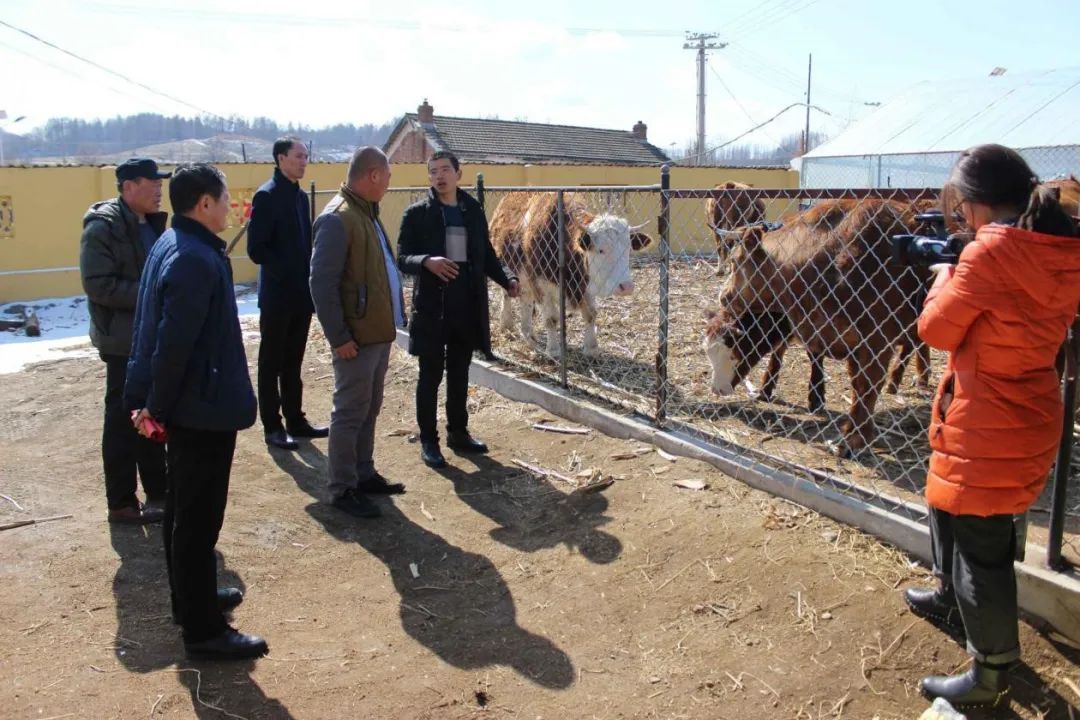 山区养殖什么致富_农村致富养殖_山区养殖业什么最赚钱农村