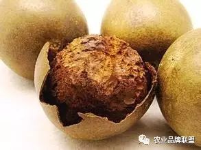 致富种植最新项目招聘_致富种植视频全集_最新种植致富项目