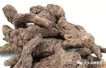 致富种植最新项目招聘_致富种植视频全集_最新种植致富项目