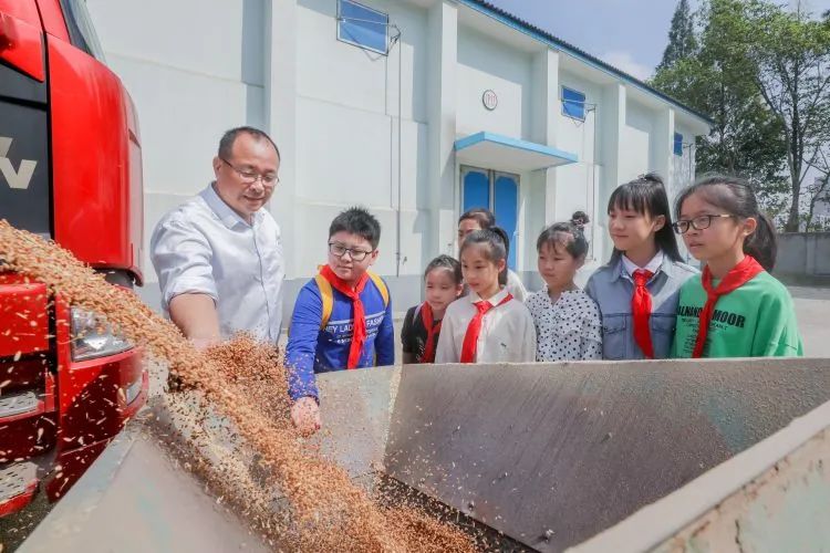 粮食优质工程典型经验发言_优质粮食工程总结_优质粮食工程典型经验交流