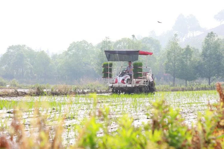 粮食优质工程典型经验发言_优质粮食工程典型经验交流_优质粮食工程总结