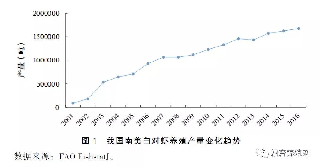 南美对虾的养殖技术_南美养殖对虾技术要点_南美养殖对虾技术视频