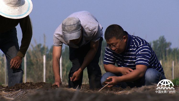 致富经蚯蚓养殖视频播放_致富经 蚯蚓_致富经养蚯蚓年百万