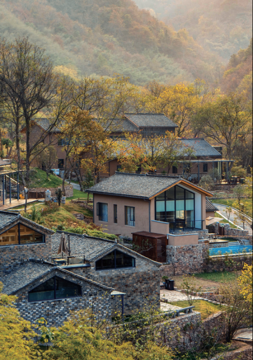 淮北种植致富项目_淮北种植什么_安徽淮北种植什么农作物