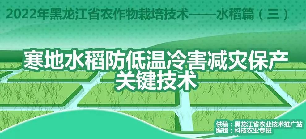 水稻东北高产种植技术规程_东北水稻高产种植技术_东北水稻种植技术视频