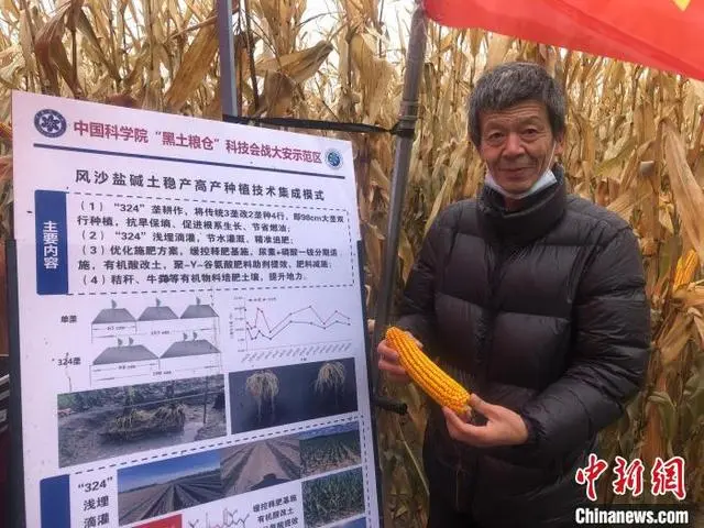 东北水稻栽培技_水稻东北高产种植技术与管理_东北水稻高产种植技术