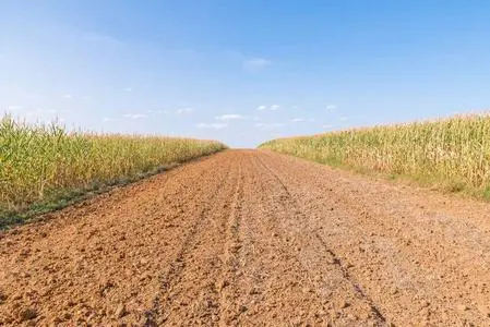 水稻东北高产种植技术要点_东北水稻种植技术视频_东北水稻高产种植技术