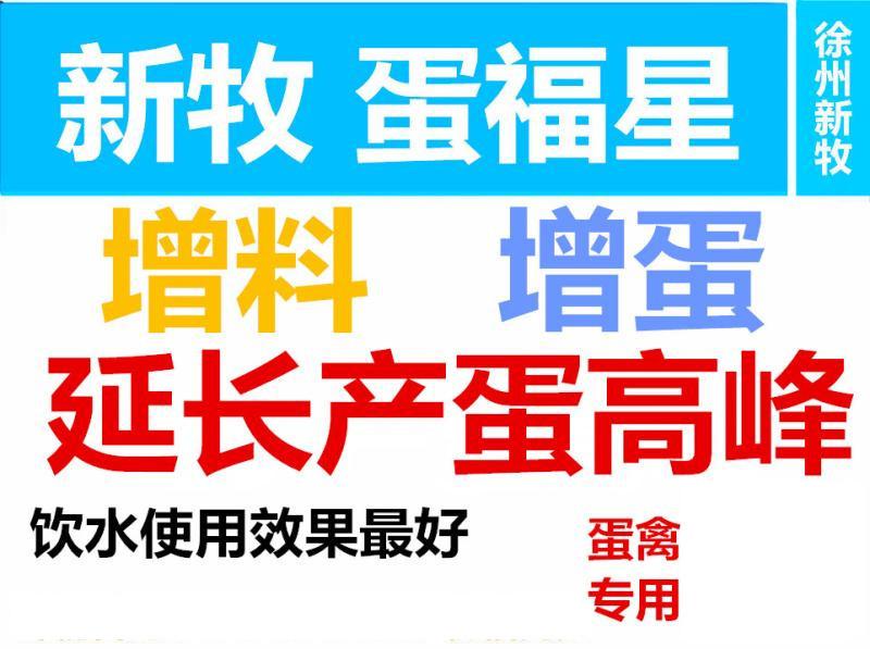 怎样养鹅产蛋高_养下蛋鹅_蛋鹅高产的养殖技术