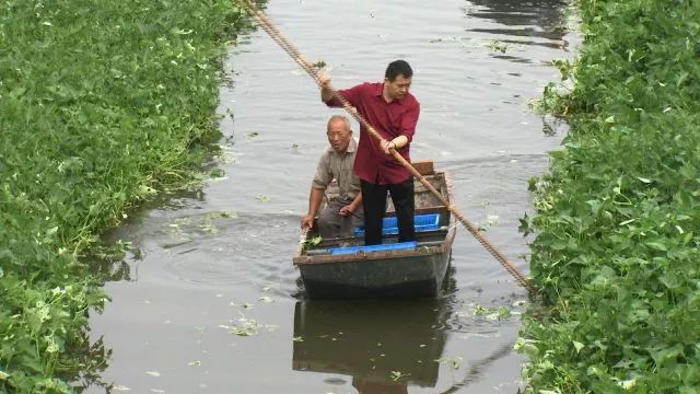 致富经竹子创业_竹子致富项目_中央7台致富经种竹子