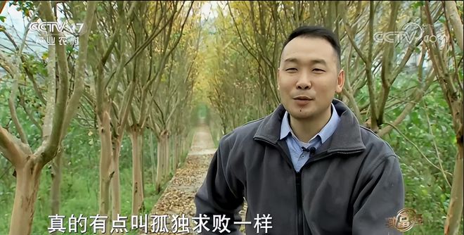 种植致富的树叶_靠树叶致富_树叶养殖