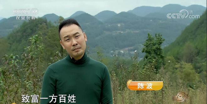 树叶养殖_靠树叶致富_种植致富的树叶