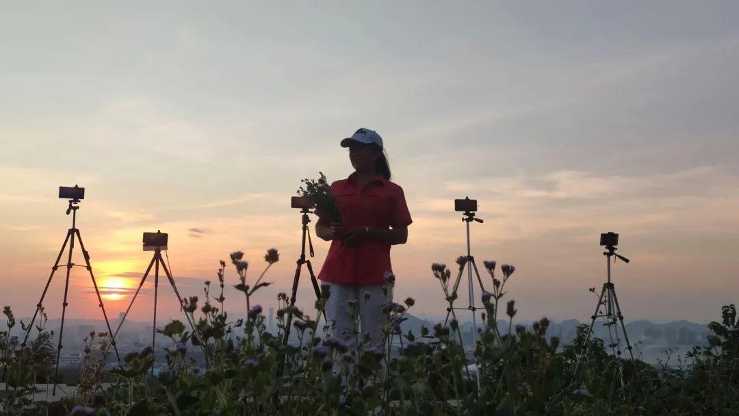 靠树叶致富_种植致富的树叶_致富树叶种植图片