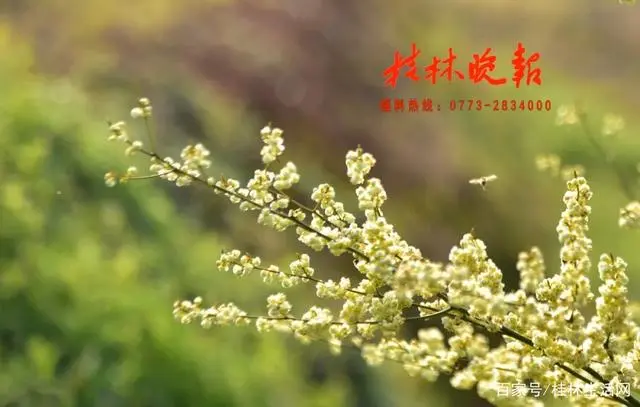 种植花卉致富典型_种花致富选什么品种_花卉致富典型种植方式