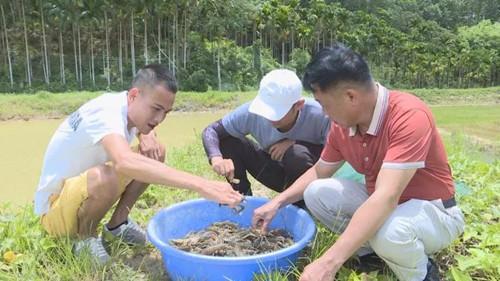 养殖致富之路_致富养殖业_生态养殖致富攻略