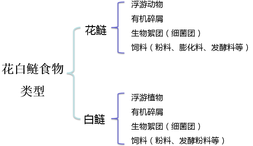 野生养殖鲢鱼技术与管理_野生养殖鲢鱼技术视频_野生鲢鱼的养殖技术