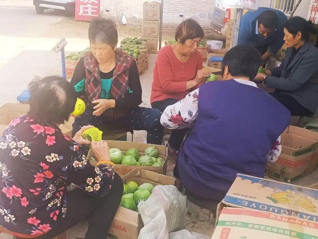 怎样种植甜瓜视频_绿宝甜瓜种植技术视频_甜瓜种植技术与管理视频播放