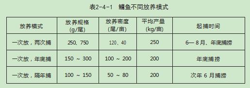 野生鲢鱼的养殖技术_野生养殖鲢鱼技术视频_野生养殖鲢鱼技术要求