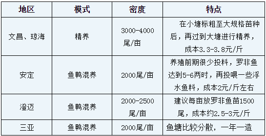 塘鲤鱼养殖技术_塘鲤鱼养殖技术要点_塘鲤鱼养殖技术与管理