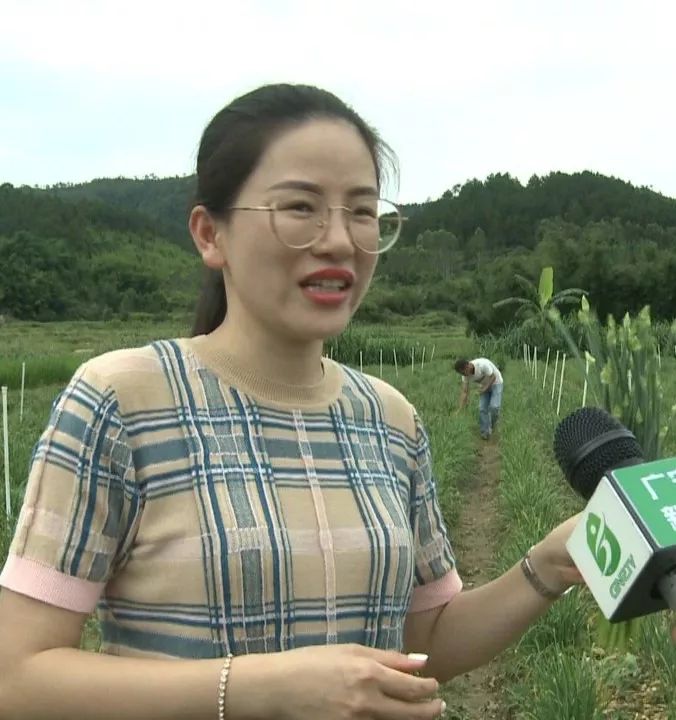 种植致富业_种植带动致富_种植致富新项目