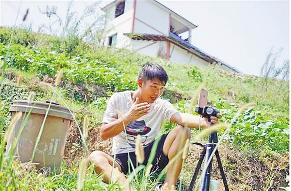 黄鳝养殖成功案例_重庆黄鳝养殖技术_重庆养黄鳝基地