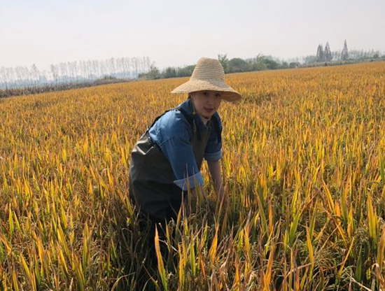 岳阳小龙虾养殖基地_益阳龙虾养殖_岳阳养殖龙虾致富