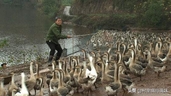 你认为中央电视台的《致富经》能让人致富吗？