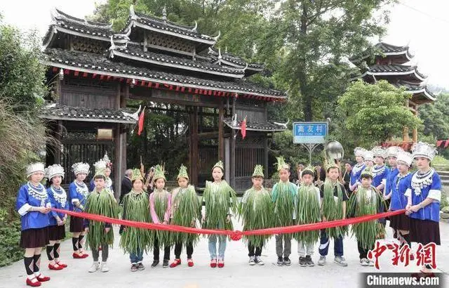 广西韭菜基地_广西哪里种韭菜多_广西韭菜种植技术视频