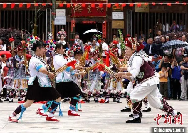 广西韭菜基地_广西韭菜种植技术视频_广西哪里种韭菜多